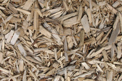 biomass boilers Penceiliogi